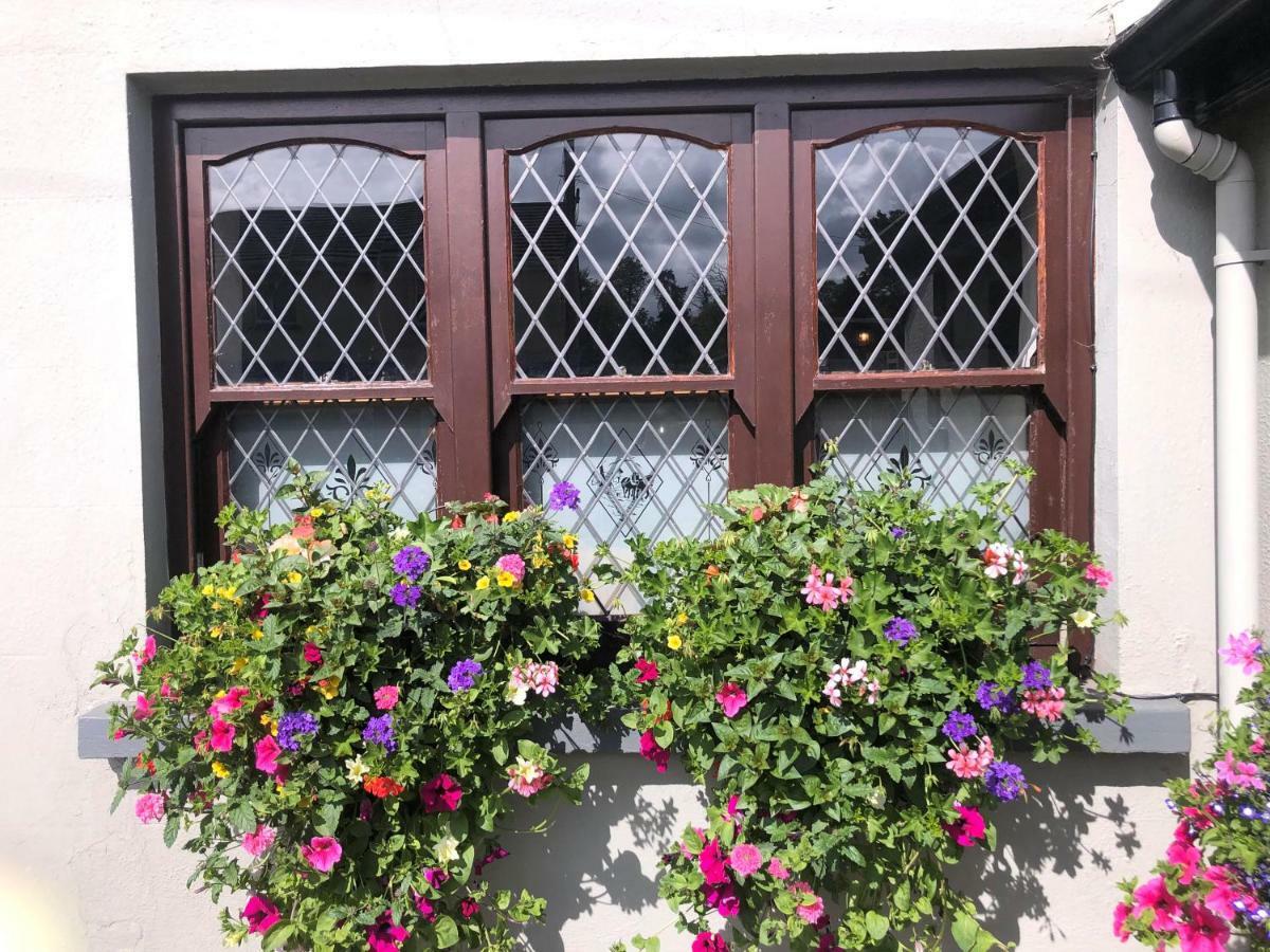 Chester Beatty Inn Ashford Kültér fotó
